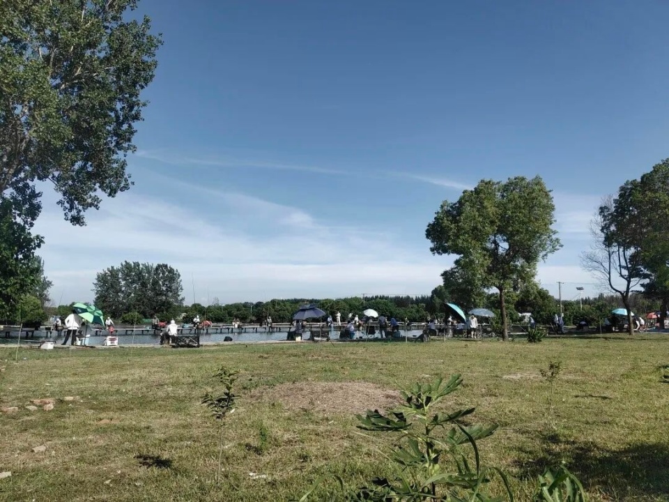 OJrq, 鱼儿上钩的, 为何能 OJrq, 鱼儿上钩的, 为何能